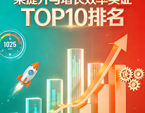 垣通網(wǎng)絡(luò)